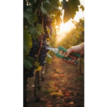 Nuvvo Narenciye Üzüm Bağ Budama Makası - Yeşil Bahçe Makası