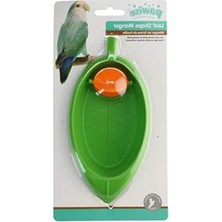 Esranın Dünyası Kuş Banyosu