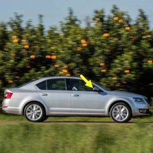 Esranın Dünyası Sol Dış Dikiz Aynası Çerçevesi, Plastik, 2013-2017 Modelleri Için Uyumlu