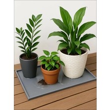 Esranın Dünyası Silikon Saksı Altlığı ve Viyol Tepsisi - Su Geçirmez Mat, Gri