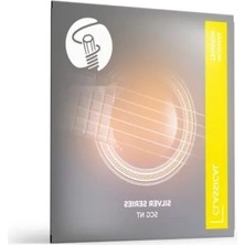 Esranın Dünyası Dengeli Tansiyonlu Klasik Gitar Teli Seti (Gümüş Kaplama)