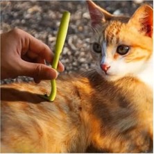 Esranın Dünyası 2 Adet Etkili ve Kolay Kullanım Kene Çıkarıcı Kanca