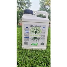 Esranın Dünyası Plant Root 5 Litre