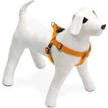 Esranın Dünyası 35-60 cm Turuncu Kilitli Göğüs Tasma (Köpek)