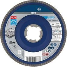 Esranın Dünyası Metal Için X-Lock Sistemli Taşlama Diski