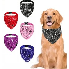 Esranın Dünyası Büyük Boy Köpek Boyun Tasması - Siyah