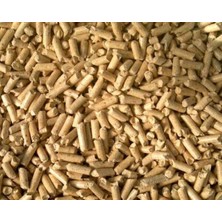 Fizzy Çam Paleti 10 Kg Kedi Kumu Kokulu Topaklanmayan İnce Taneli Doğal Altlık