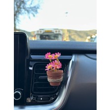 Plantarrium Design Daisy Drive – Araç Içi Mini Terra Saksı
