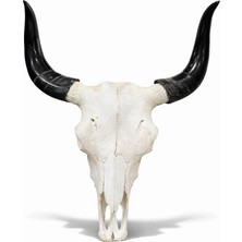 Livenda Dekoratif Boynuzlu Bufalo Kafatası Duvar Objesi ALK5319
