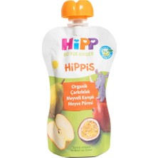 NW NessiWorld Organik Çarkıfelek Meyveli Karışık Meyve Püresi 100 gr