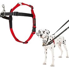 Starseven Company Of Animals Halti Köpekler Için Önden Kontrollü Göğüs Tasması, Orta Boy