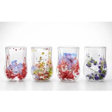 LTG Nova Çift Camlı Çiçekli Su Bardağı