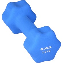 PremiumPort 2,5 kg Mavi Neopren Kaplı Dambıl, Dayanıklı ve Şık Fitness Aleti