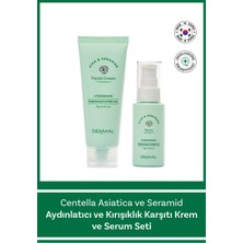 Dermal Cica X Mide Centella Asiatica Özlü Yüz Kremi ve Serum