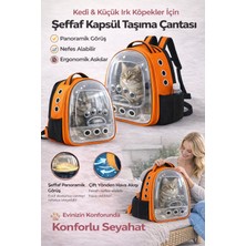 Karamel Pet Patili Astronot Şeffaf Kapılı Taşıma Sırt Çantası 24X32X42 cm Turuncu