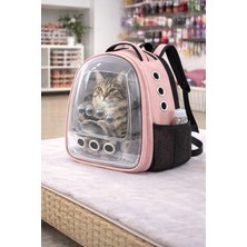 Karamel Pet Patili Astronot Şeffaf Kapılı Taşıma Sırt Çantası 24X32X42 cm Pudra