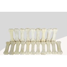 Miçiko Köpek Diş Kaşıyıcı Diş Sağlığı Beyaz 20 Li Paket ( 7-8 Cm)