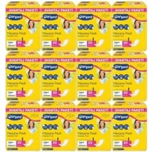 Canped Mesane Pedi Avantaj Paket Klasık L-Büyük Boy Yoğun 240 Adet