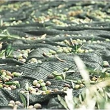 Pratik ve Dayanıklı 75 Zeytin Toplama Filesi 4x5 Paket