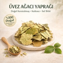 AKTARZANE Üvez Ağacı Yaprağı Sorbus Sp.