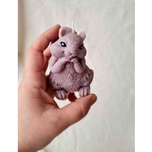 Dust Candle Studio Sevimli Sincap Mum
