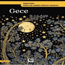 Bilfold Gece