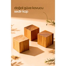 PremiumPort Doğal Güve Kovuğu Sedir Ağacı Külü 30'lu Paket, Güvenli Koruma Ürünü