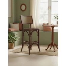 Gazzini Furniture Sofa Ahşap Bar Sandalyesi