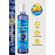 NatureTime Premium Yaban Mersini Özü 700 gr Katkısız Doğal Organik Pestisit & Ağır Metal İçermez Analizli