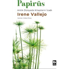 Esranın Dünyası Papirüs Antik Dünyada Kitapların Icadı