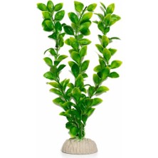 Petistera PB12 Plastik Akvaryum Bitkisi 30 cm