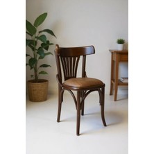 Kleinhaus Furniture Tonet Ahşap Sandalye, Gürgen Ahşap, Değiştirebilir Kumaş ve Renk