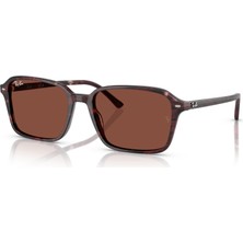 Ray-Ban Rb 2231 1416/C5 56  Rayban Güneş Gözlüğü