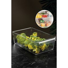 PremiumPort Şeffaf Buzdolabı Içi Düzenleyici, Organizer, 10 x 32,5 x 20 cm