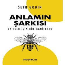 TeknoKapsül Anlamın Şarkısı