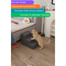 Miralay Kediler Için Tasarlanmış 3 Basamaklı Tırmanma Merdiveni