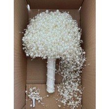 Caelia Inci Gelin Çiçeği ve Damat Yaka Çiçeği