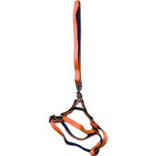 Terrien Kedi Köpek Göğüs Tasması Turuncu