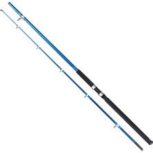 Remixon Blue Bird 3.30m 100-200gr 2P Olta Kamışı