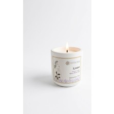 Defneden Ilham Temalı Lavanta Mum