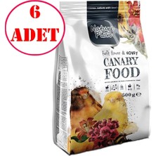 Nature Plan Kanarya Yemi 500 gr 6 Ad Doğal Tohum Karışımı ile Sağlıklı ve Enerjik Kanaryalar İçin