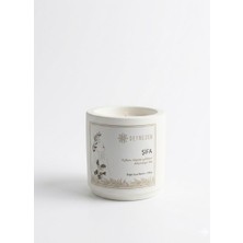 Defneden Şifa Temalı Defne Kokulu Mum