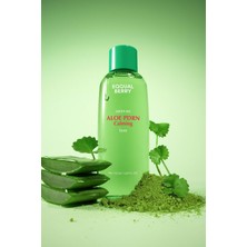 Eqqualberry Aloe PDRN Calming Toner Bariyer Destekleyici Kuruluk Kaynaklı Kızarıklık ve Stres Karşıtı Tonik