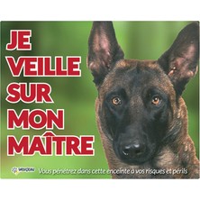 Adoz Shopping Vadigran Malinois Köpek Fotoğraf Tabelası