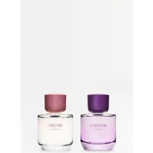 Zara Gardenıa + Orchıd Edp 2X90 ml (3.04 Fl. Oz).