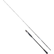 RYUJI OCEAN SOUL FUJI 1.80M 20-60GR 2P SLOW JIG KAMIŞ