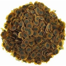 Esranın Dünyası Yetişkin Balık Yemi 100 gr - Kovadan Bölme