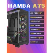 Sinerji Mamba A75 PNY Geforce RTX5070 Ryzen 5 9500F 16GB Ddr5 512GB SSD
