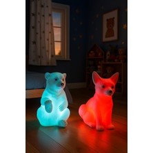 Adoz Shopping Kutup Ayısı ve Kar Tilkisi Rcb Renk Değiştiren LED Gece Lambası