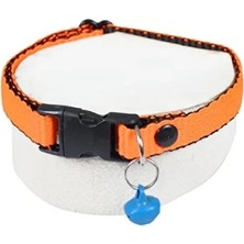 Esranın Dünyası Neon Turuncu Kedi ve Köpek Için Tokalı Boyun Tasması